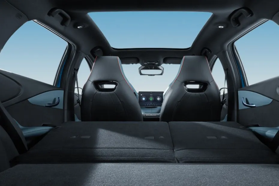 BYD Dolphin Interior Cabin
