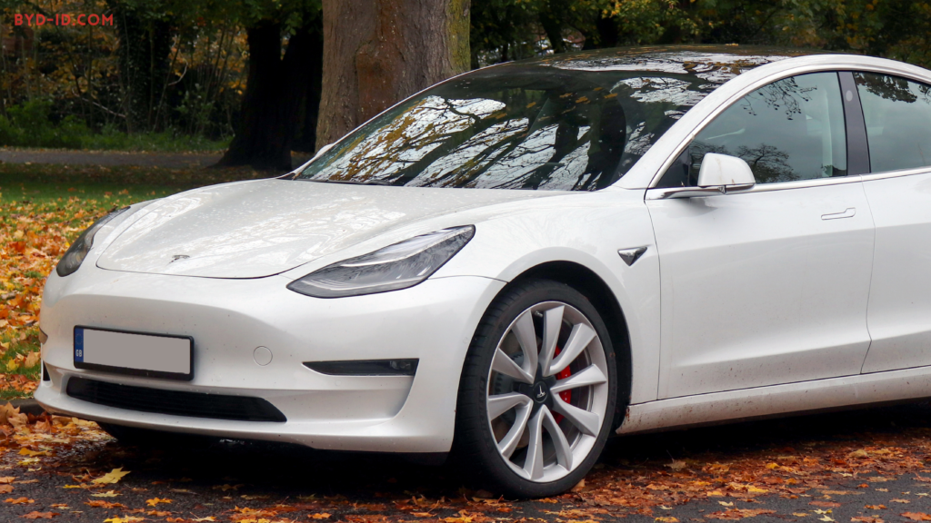 Byd-id.com tesla model 3
