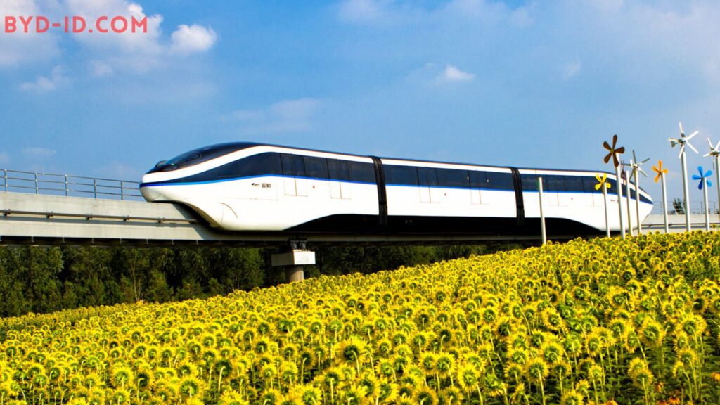 Byd skyrail

