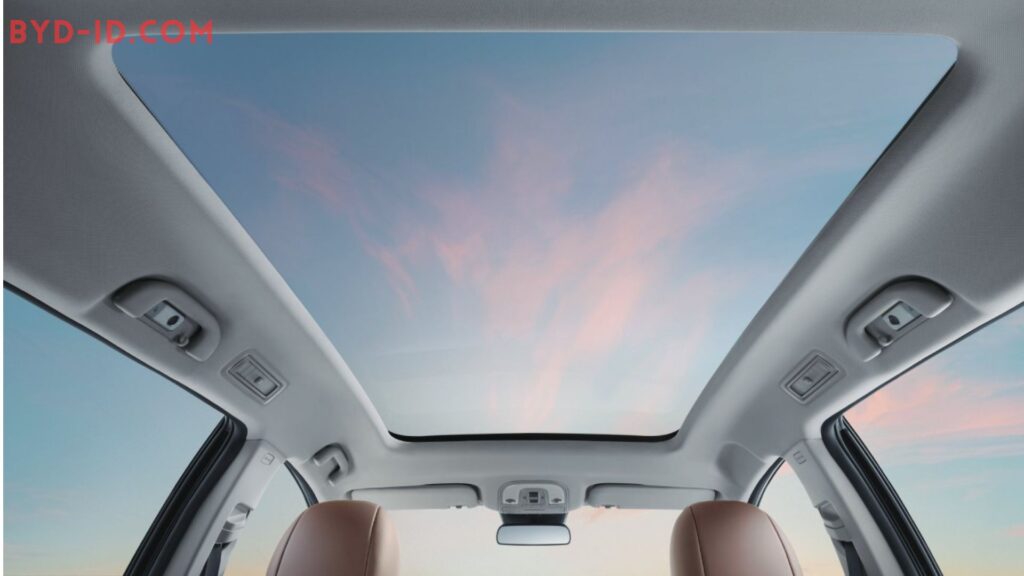 BYD M6 Panoramic roof 