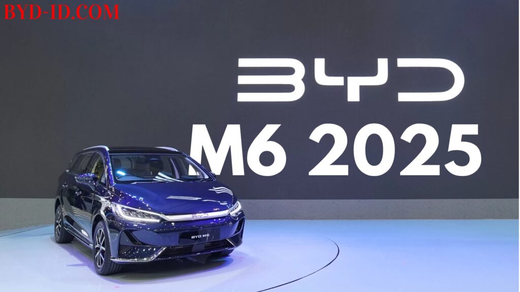 BYD M6