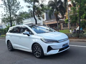BYD M6
