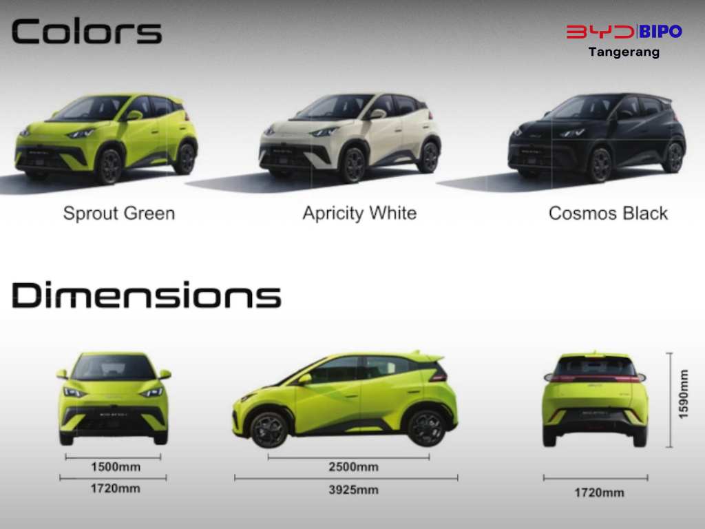 pilihan warna byd dan spesifikasi dimensi
